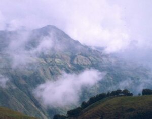 Páramo.jpg