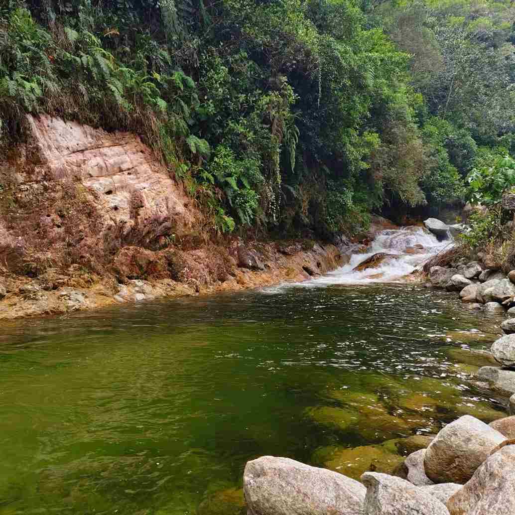 Vereda La Paloma